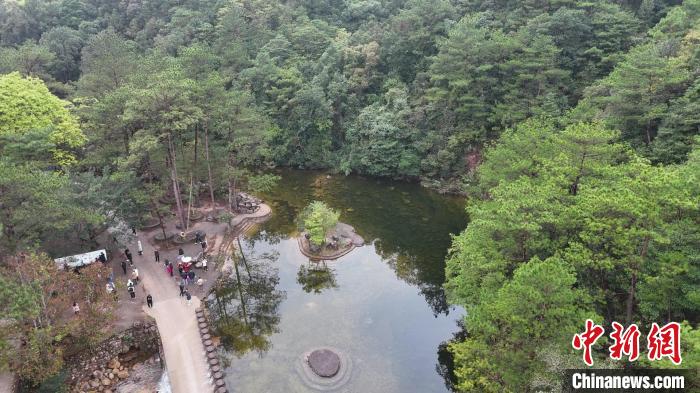 广西上思留得青山 成珍稀野生动植物天然家园